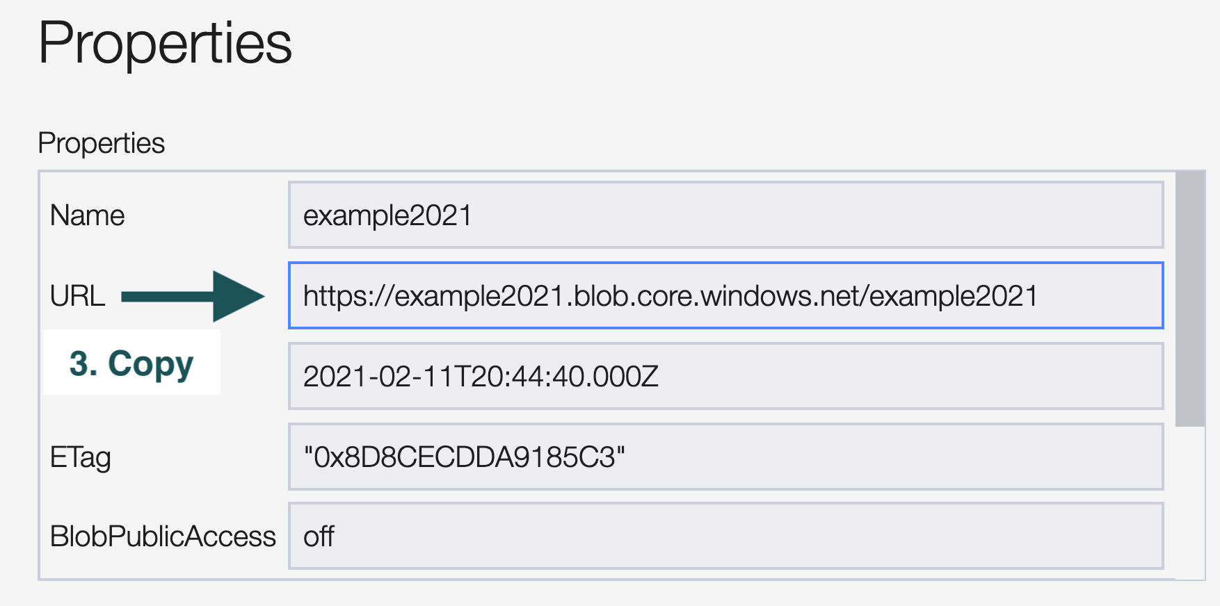 Copy_Container_URL.png
